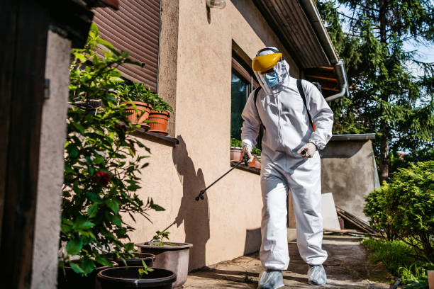 Best Flea Control Services  in Doe Valley, KY