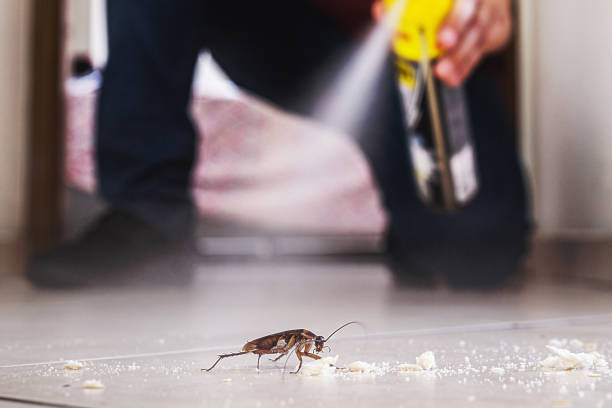 Trusted Doe Valley, KY Pest Control Experts